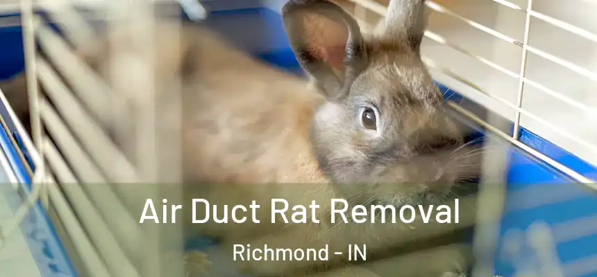  Air Duct Rat Removal Richmond - IN