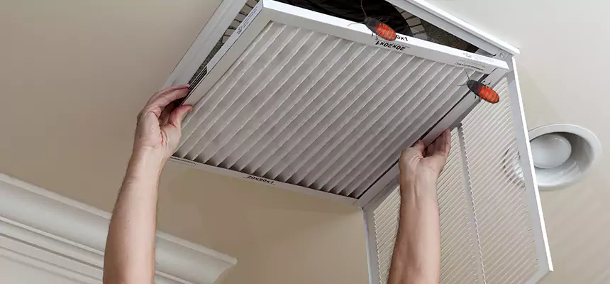 Our Insect Removal from Air Ducts Services in Richmond, IN