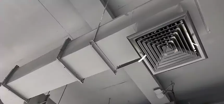 Our Pest Removal From Ducts Services in Richmond, IN