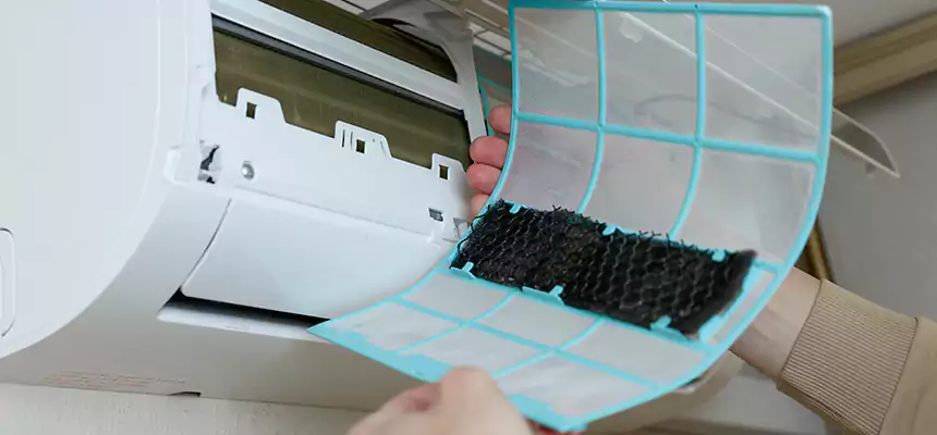 Gentle Ductwork Odor-Control Pet Dander Duct Cleaning in Richmond, IN