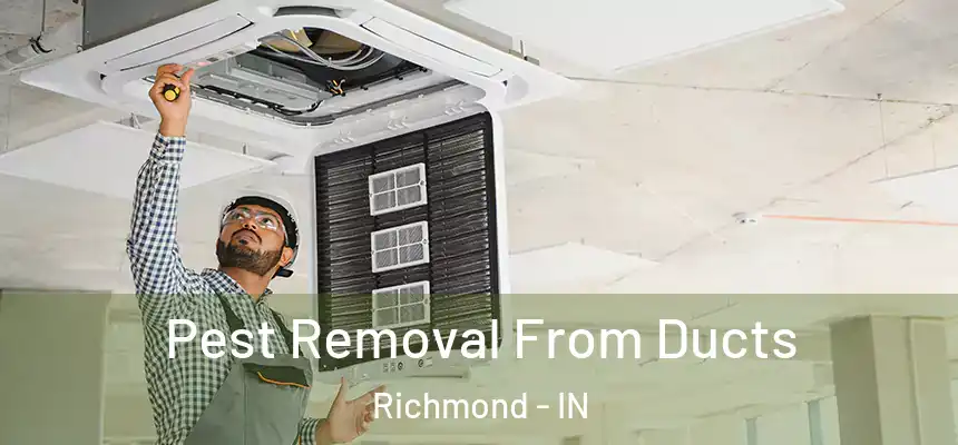  Pest Removal From Ducts Richmond - IN