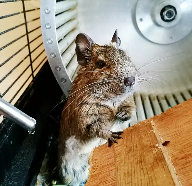 Why Homeowners & Businesses Trust Us Richmond, IN